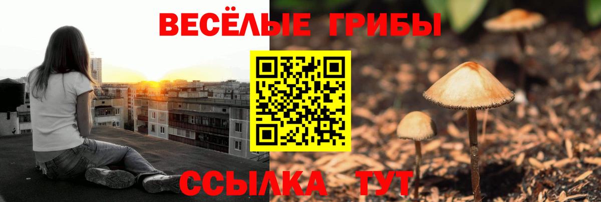 Лобня  Псилоцибиновые грибы прущие грибы  Галлюциногенные грибы Psilocybe  Вход с VPN 